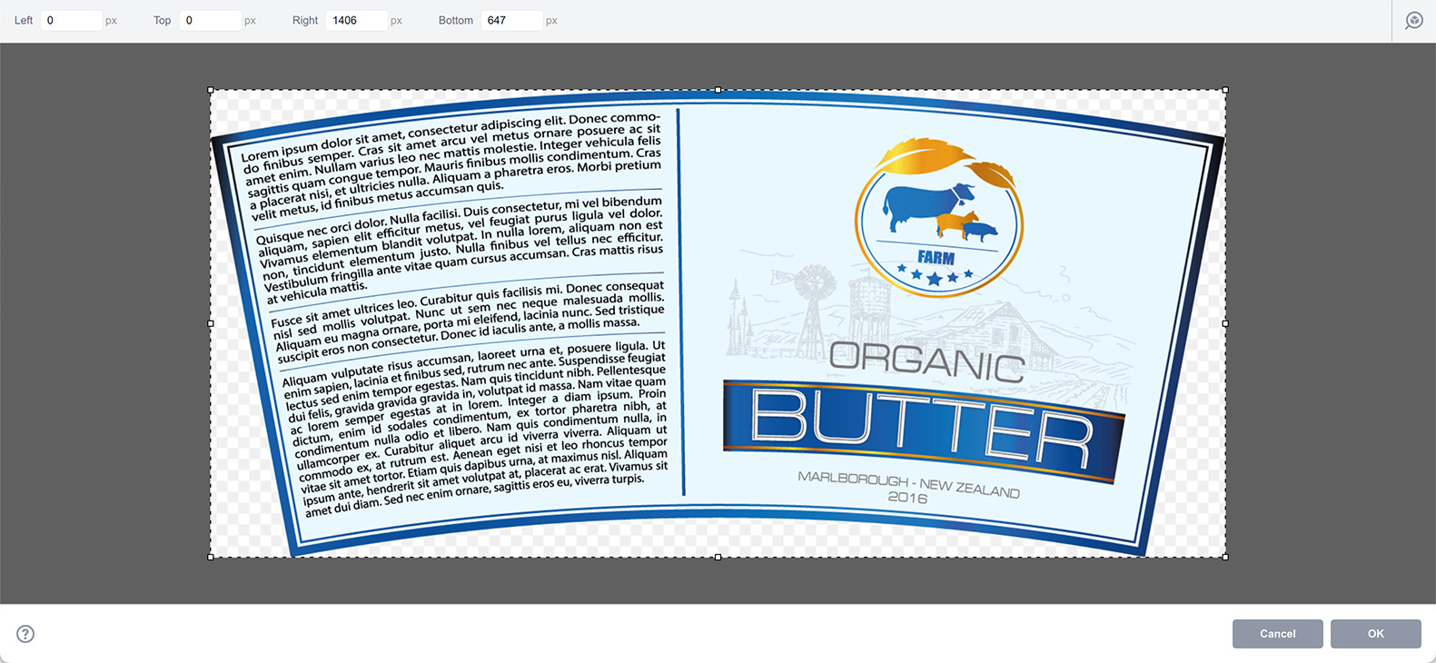 Conical label artwork show in the artwork editor in Boxshot