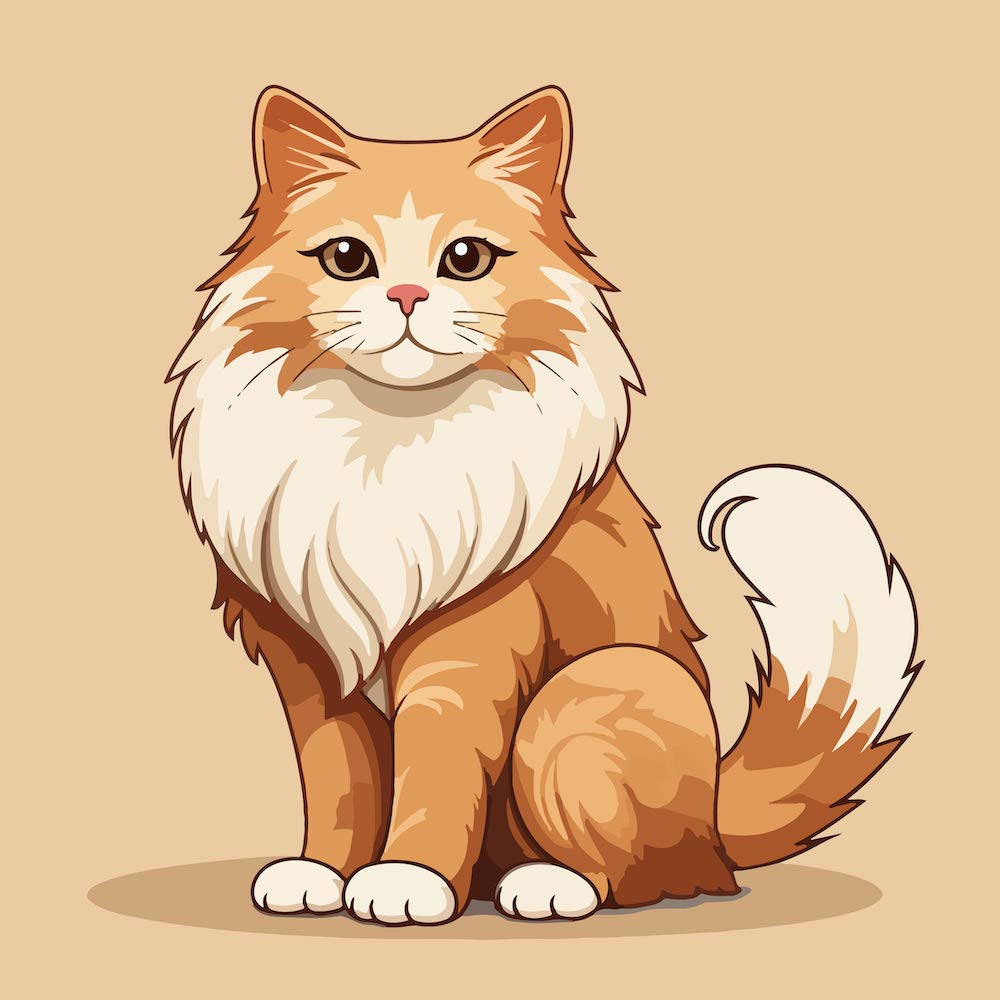 Vector image of a cat