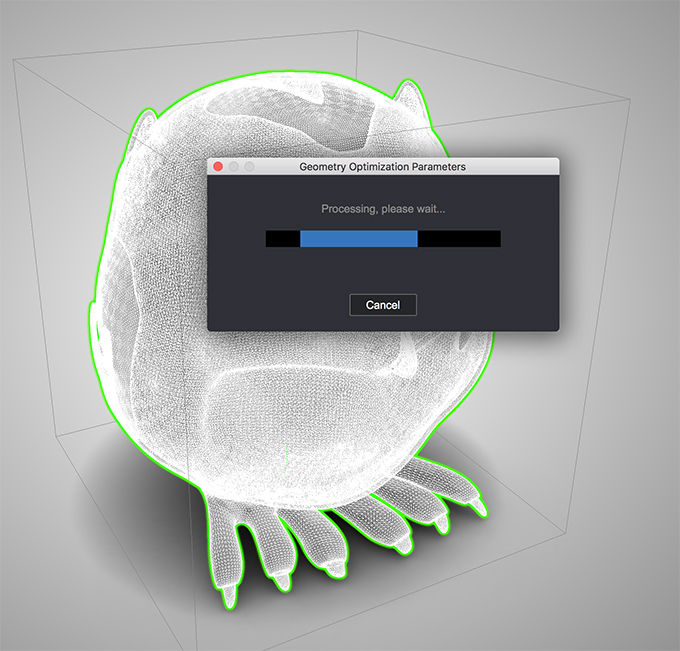 Pre-processing optimized mesh in Koru